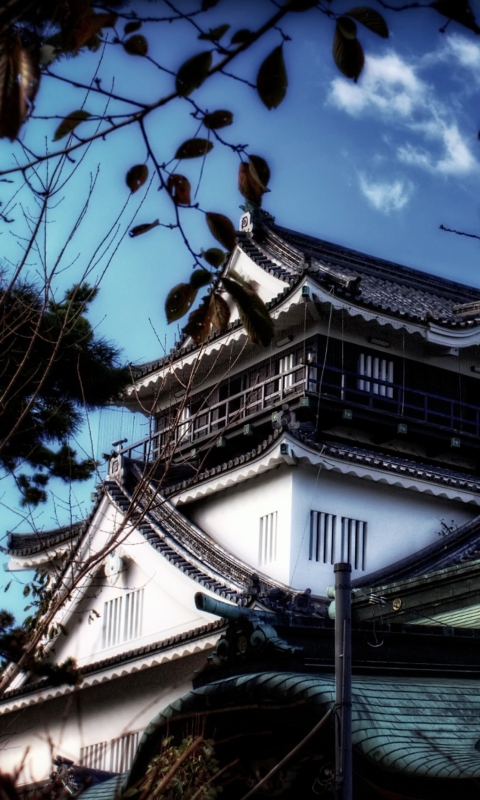Screenshot №1 pro téma Okazaki Castle 480x800