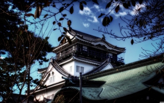 Okazaki Castle Background for Android, iPhone and iPad
