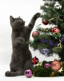 Sfondi Christmas Cat 128x160