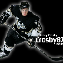 Screenshot №1 pro téma Sidney Crosby - Hockey Player 208x208