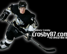 Sidney Crosby - Hockey Player wallpaper 220x176