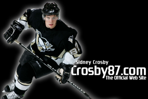 Fondo de pantalla Sidney Crosby - Hockey Player 480x320