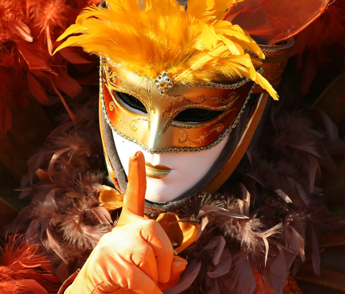 Fondo de pantalla Carnival Mask 1200x1024