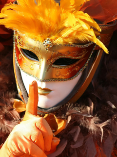 Fondo de pantalla Carnival Mask 240x320