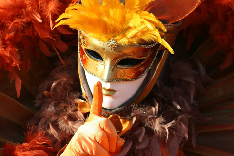 Sfondi Carnival Mask 480x320