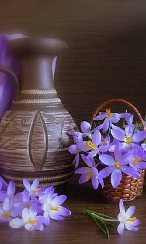 Vase And Purple Flowers wallpaper 480x800
