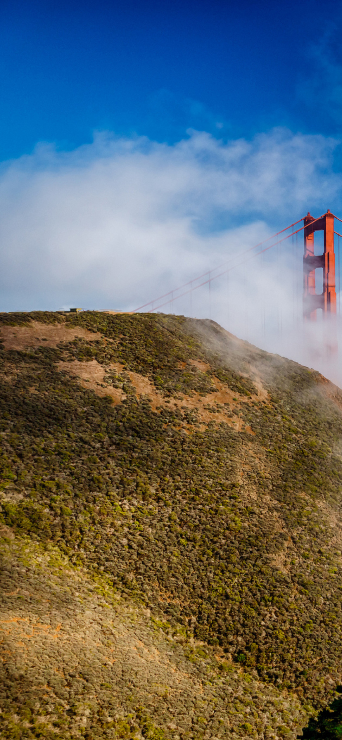 California San Francisco Golden Gate wallpaper 1170x2532
