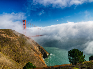 Sfondi California San Francisco Golden Gate 320x240