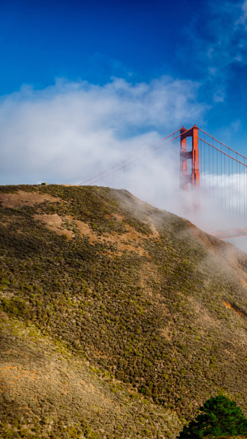 Fondo de pantalla California San Francisco Golden Gate 360x640