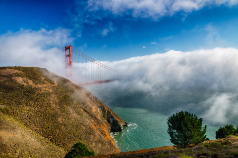 Обои California San Francisco Golden Gate 480x320