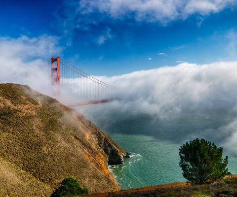 Fondo de pantalla California San Francisco Golden Gate 480x400