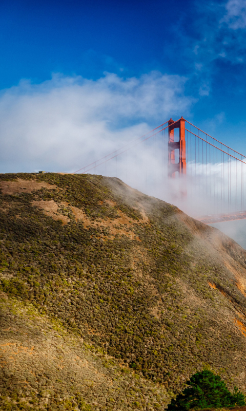 Sfondi California San Francisco Golden Gate 480x800