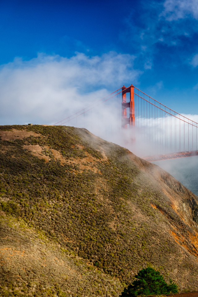 Sfondi California San Francisco Golden Gate 640x960