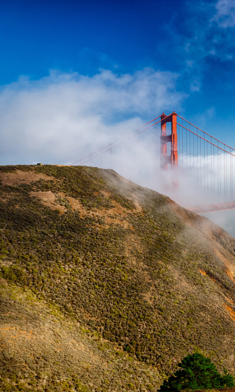 Fondo de pantalla California San Francisco Golden Gate 768x1280