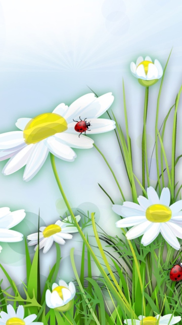 Sfondi Chamomile And Ladybug 360x640