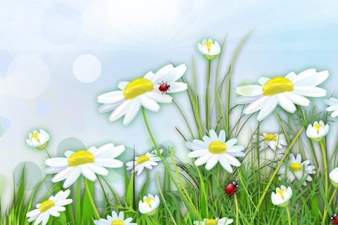 Das Chamomile And Ladybug Wallpaper 480x320