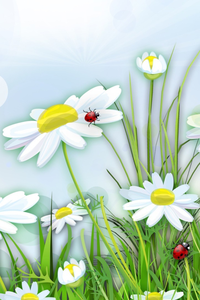 Sfondi Chamomile And Ladybug 640x960