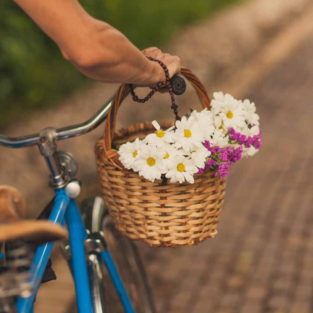 Flowers In Bicycle Basket wallpaper 1024x1024