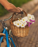 Das Flowers In Bicycle Basket Wallpaper 128x160