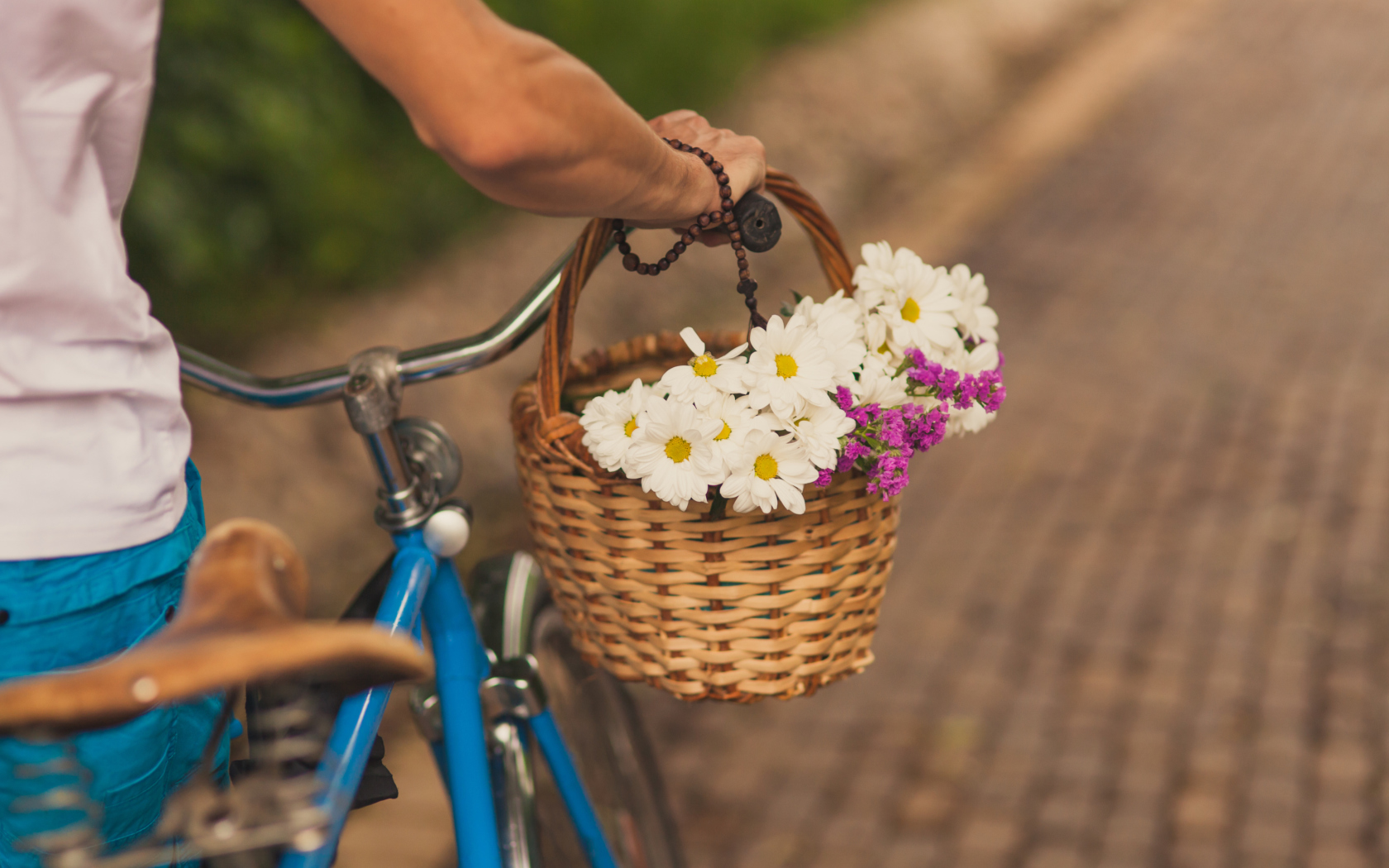 Sfondi Flowers In Bicycle Basket 1680x1050
