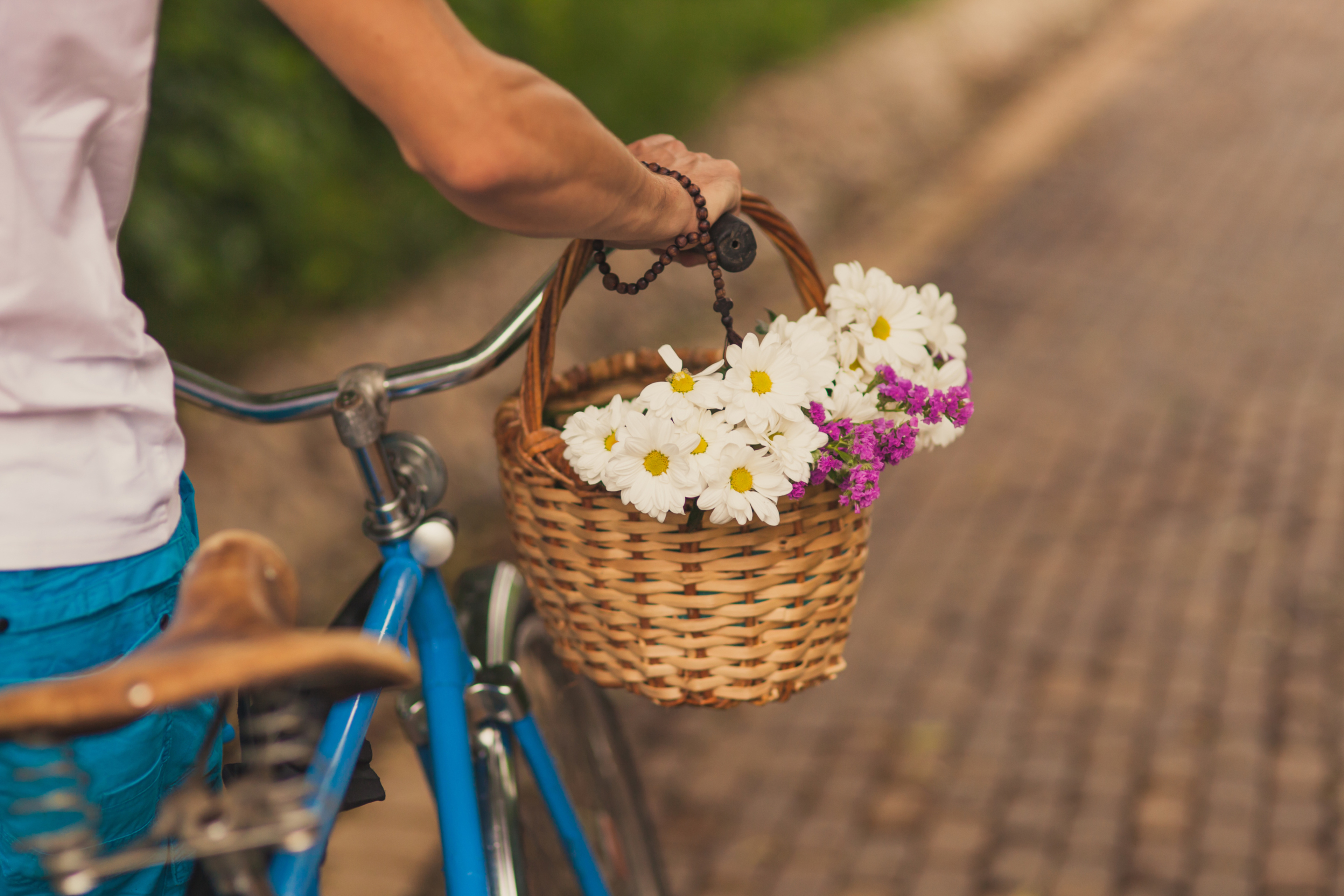 Das Flowers In Bicycle Basket Wallpaper 2880x1920