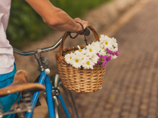Das Flowers In Bicycle Basket Wallpaper 320x240