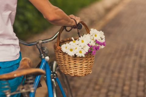 Обои Flowers In Bicycle Basket 480x320