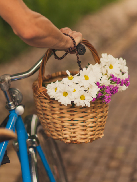 Fondo de pantalla Flowers In Bicycle Basket 480x640