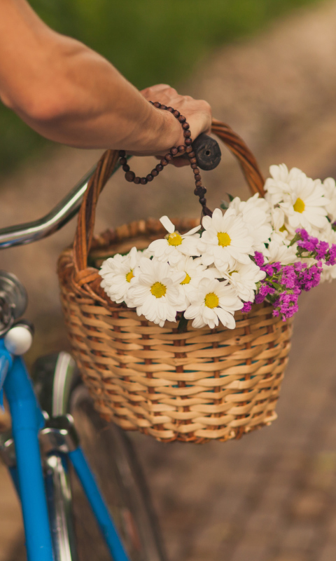 Das Flowers In Bicycle Basket Wallpaper 480x800