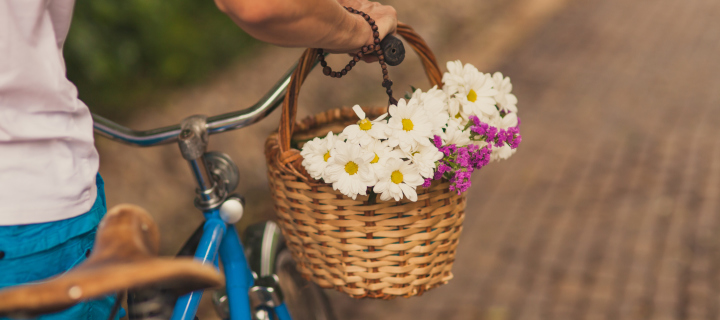 Обои Flowers In Bicycle Basket 720x320