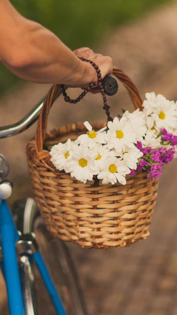 Обои Flowers In Bicycle Basket 750x1334