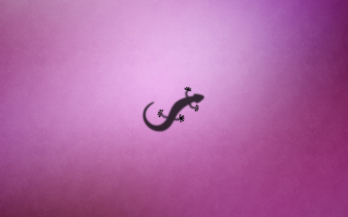 Gecko screenshot #1 1440x900