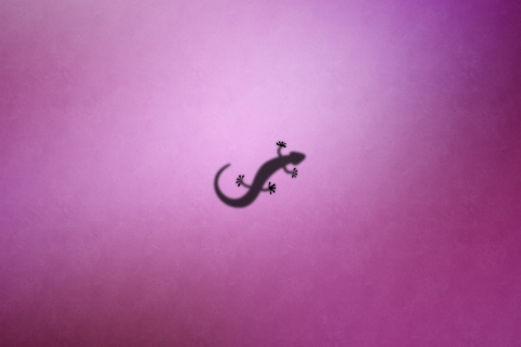 Das Gecko Wallpaper 480x320