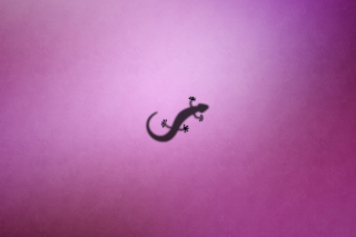 Gecko - Obrázkek zdarma pro HTC Wildfire