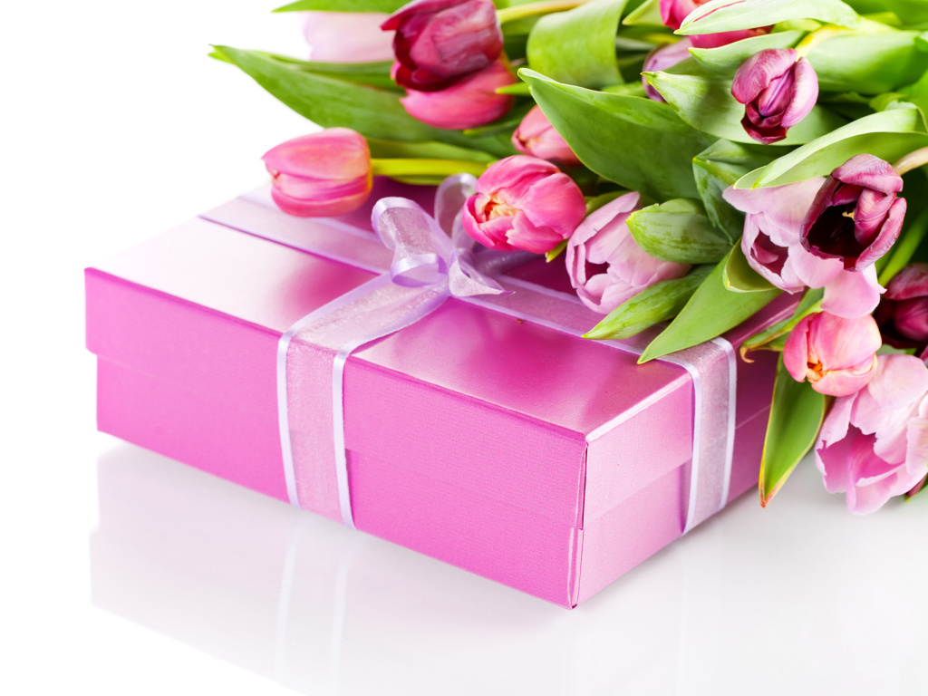 Sfondi Pink Tulips and Gift 1024x768