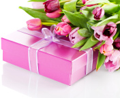 Fondo de pantalla Pink Tulips and Gift 176x144