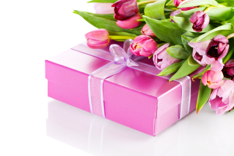 Sfondi Pink Tulips and Gift 480x320