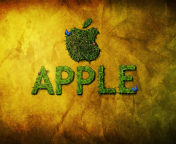 Das Green Apple Wallpaper 176x144