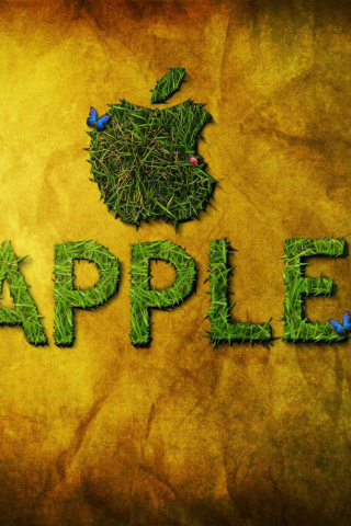 Green Apple wallpaper 320x480