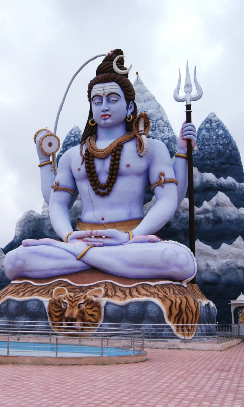 Lord Shiva in Mount Kailash wallpaper 480x800