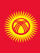 Flag of Kyrgyzstan wallpaper 132x176