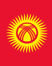 Das Flag of Kyrgyzstan Wallpaper 176x220