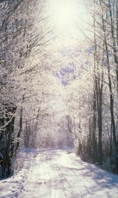 Das Snowy Woods In Switzerland Wallpaper 240x400
