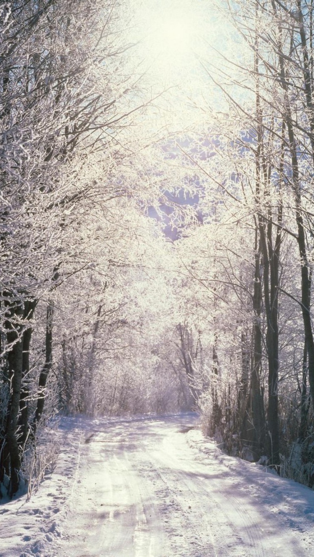 Fondo de pantalla Snowy Woods In Switzerland 640x1136