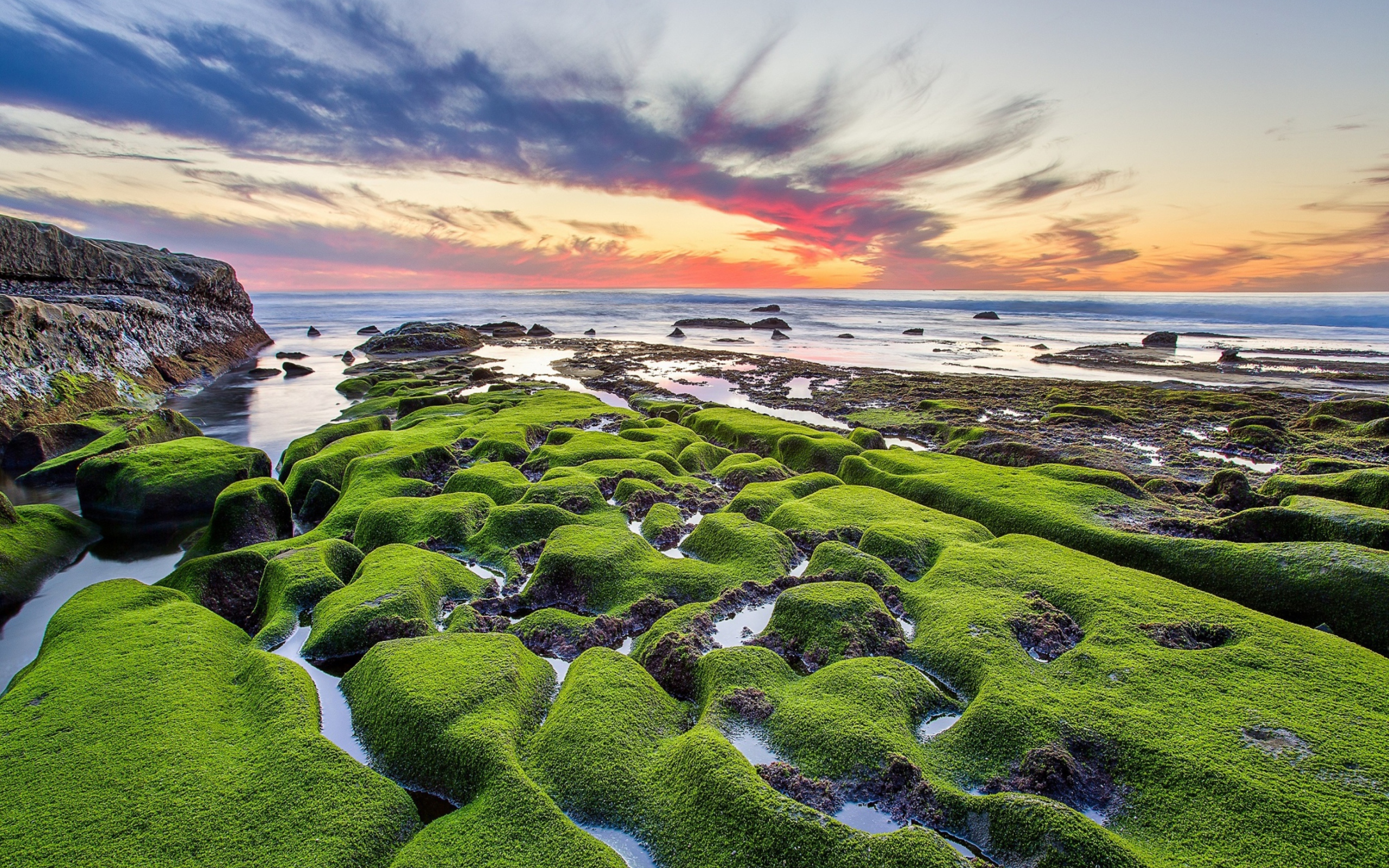 Das Pacific Ocean - Green Shore Wallpaper 2560x1600
