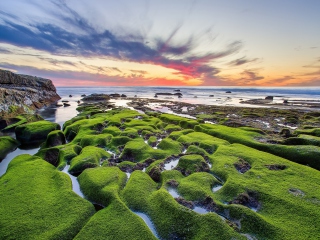 Pacific Ocean - Green Shore wallpaper 320x240