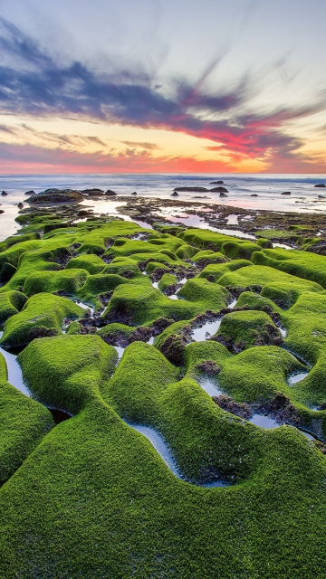 Pacific Ocean - Green Shore screenshot #1 360x640