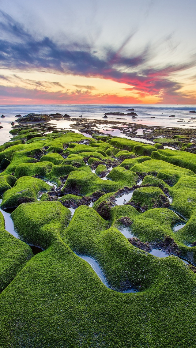 Pacific Ocean - Green Shore screenshot #1 640x1136