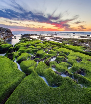 Pacific Ocean - Green Shore - Fondos de pantalla gratis para Samsung Dash