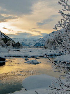 Sfondi Winter Outdoor Image 240x320